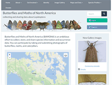 Tablet Screenshot of butterfliesandmoths.org